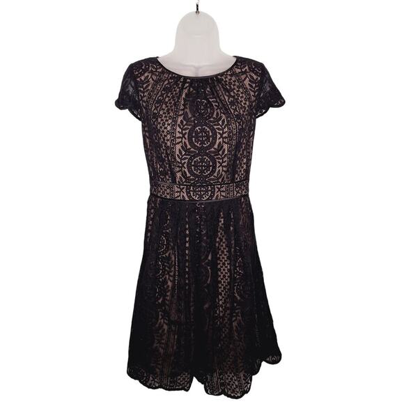Adrianna Papell Pleat Stripe Filagree Dress Lace Overlay Fit Flare Cap Sleeve 10 - Picture 1 of 14